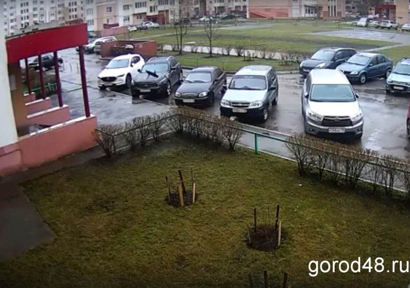 Липчанин выбросил кота с девятого этажа Липчанин выбросил кота с девятого этажа