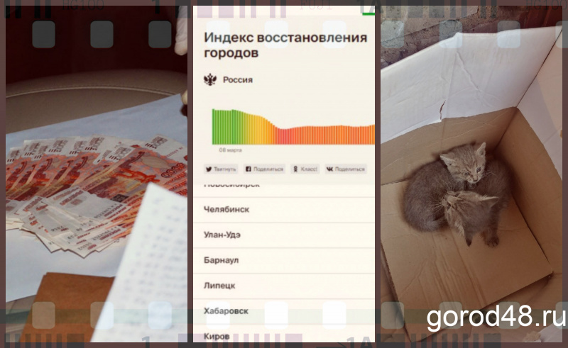 Липецкая вечЁрка: явка с повинной, возвращение к жизни и спасение котят Липецкая вечЁрка: явка с повинной, возвращение к жизни и спасение котят