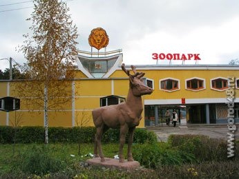Липецкий зоопарк продал свой мичуринский филиал Липецкий зоопарк продал свой мичуринский филиал