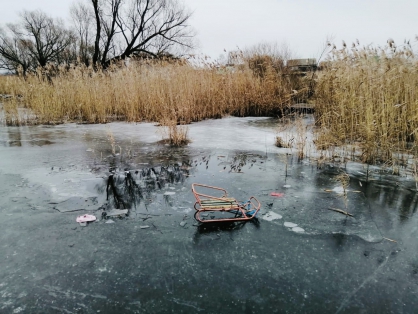 школьницы