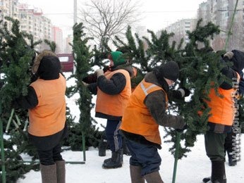В Липецке начался монтаж самой высокой новогодней ёлки В Липецке начался монтаж самой высокой новогодней ёлки