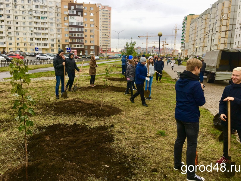 Липецк последние новости. Стальное дерево НЛМК. Стальное дерево Липецк. Район новая зелень Киров. Озеленение НЛМК.