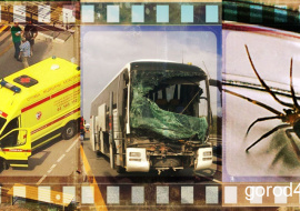 Липецкая вечЁрка: смерть у поликлиники, ДТП с туристическим автобусом и агрессивный паук