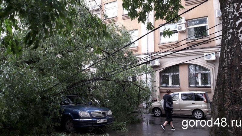 В Липецке ураган свалил дерево на три машины В Липецке ураган свалил дерево на три машины