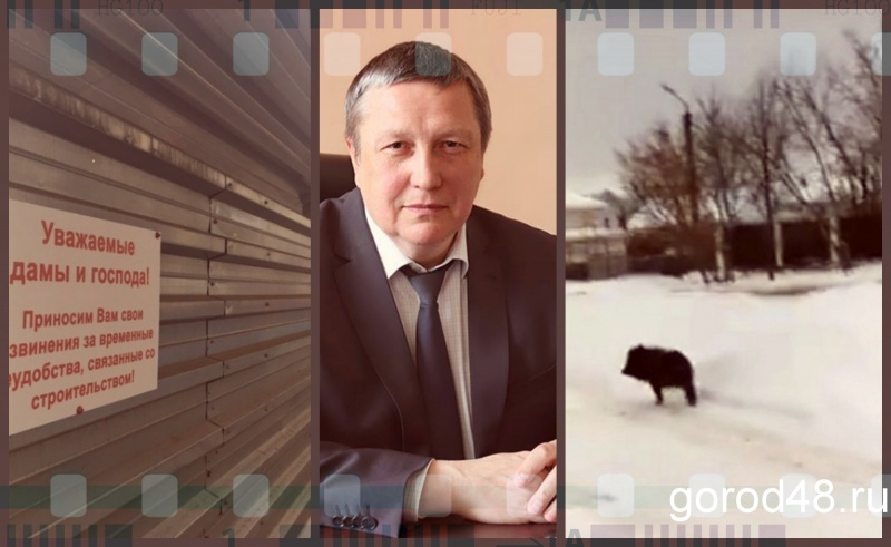 Липецкая вечЁрка: вторая попытка, громкая отставка и дикая природа Липецкая вечЁрка: вторая попытка, громкая отставка и дикая природа