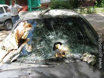 В Липецке дерево упало на автомобиль В Липецке дерево упало на автомобиль