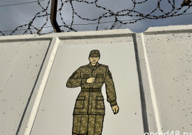 36-летняя женщина дискредитировала вооружённые силы в родительском чате 