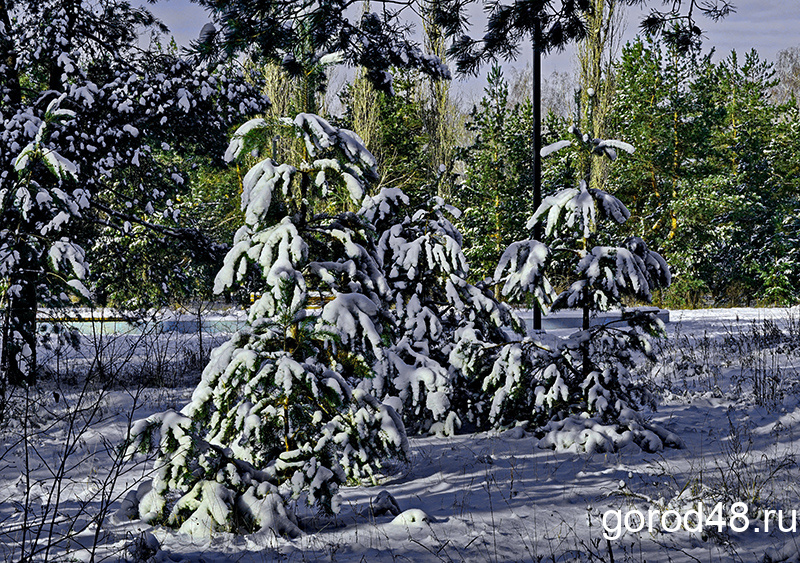 В Липецкой области снег, метель и до -5