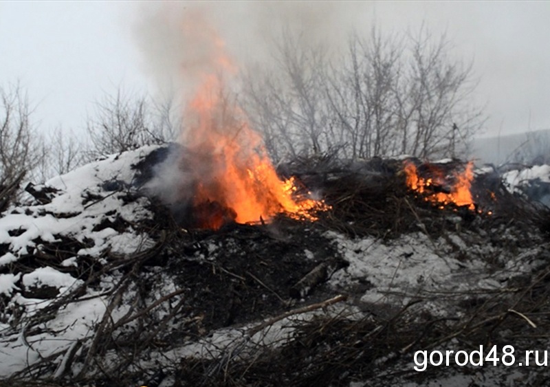 Несколько данковских улиц заволокло дымом сжигаемого мусора Несколько данковских улиц заволокло дымом сжигаемого мусора