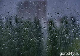 Курс на понижение: в Липецкой области дожди, грозы и до +25
