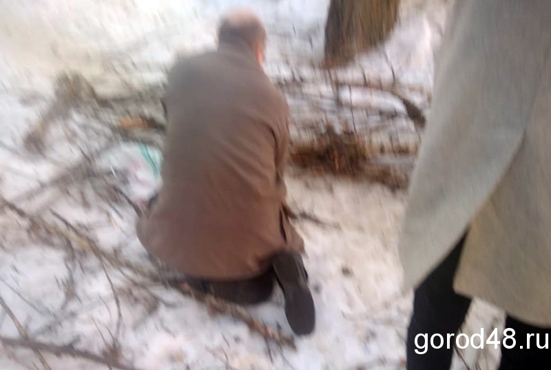 Дерево упало на человека в 15-м микрорайоне Липецка Дерево упало на человека в 15-м микрорайоне Липецка