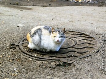 Ночью заморозки, днем до +7 Ночью заморозки, днем до +7