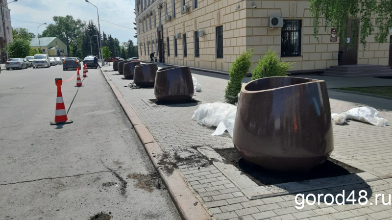 На Соборной площади установлены вазоны с можжевельником На Соборной площади установлены вазоны с можжевельником