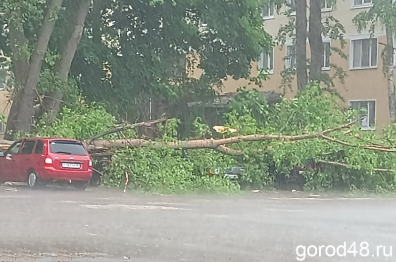 Первые последствия стихии: на улице Циолковского ветка дерева упала на 6 машин