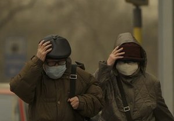 Липчане сегодня дышали пылью Липчане сегодня дышали пылью