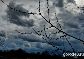 В Липецке усилится ветер