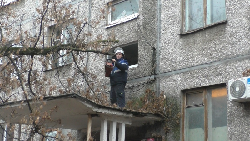 Дерево упало на козырек подъезда жилого дома Дерево упало на козырек подъезда жилого дома