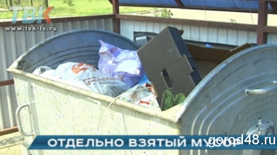 Мухи отдельно, котлеты отдельно. Мухи отдельно, котлеты отдельно.
