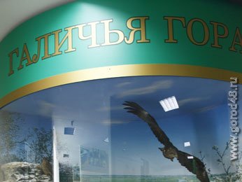 Более 40 тысяч человек посетили областной музей природы Более 40 тысяч человек посетили областной музей природы