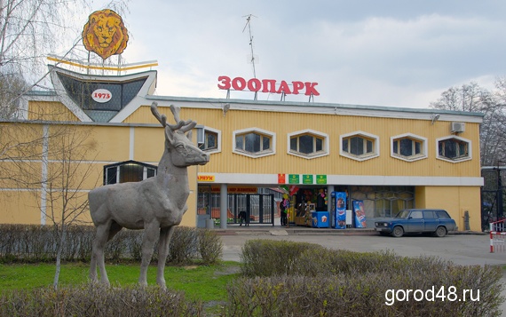 В Липецком зоопарке - беби-бум В Липецком зоопарке - беби-бум