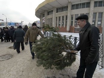В Липецке откроются елочные базары и состоится предновогодняя ярмарка В Липецке откроются елочные базары и состоится предновогодняя ярмарка