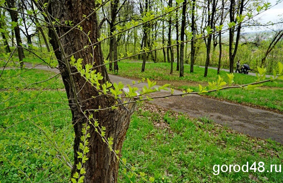 В Нижнем парке пройдет «Российский Азимут» В Нижнем парке пройдет «Российский Азимут»