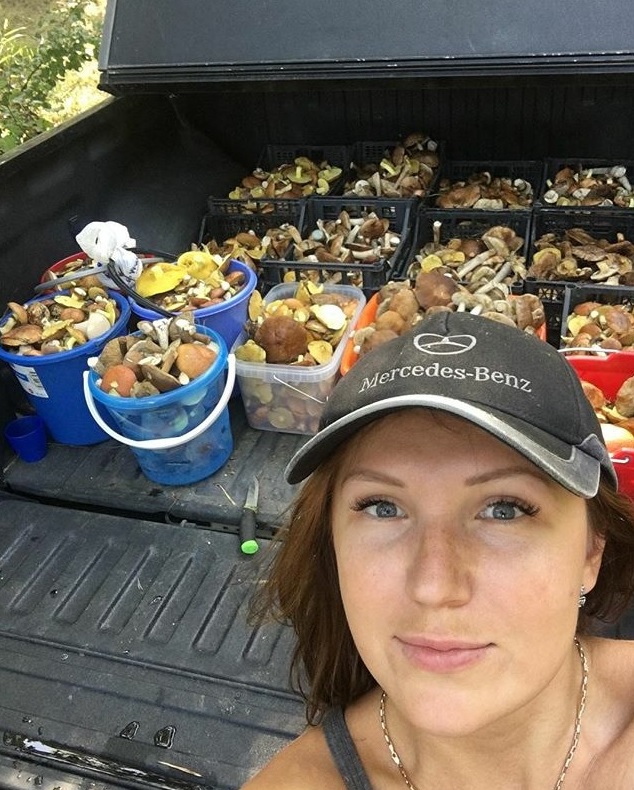 Липчане собирают грибы машинами