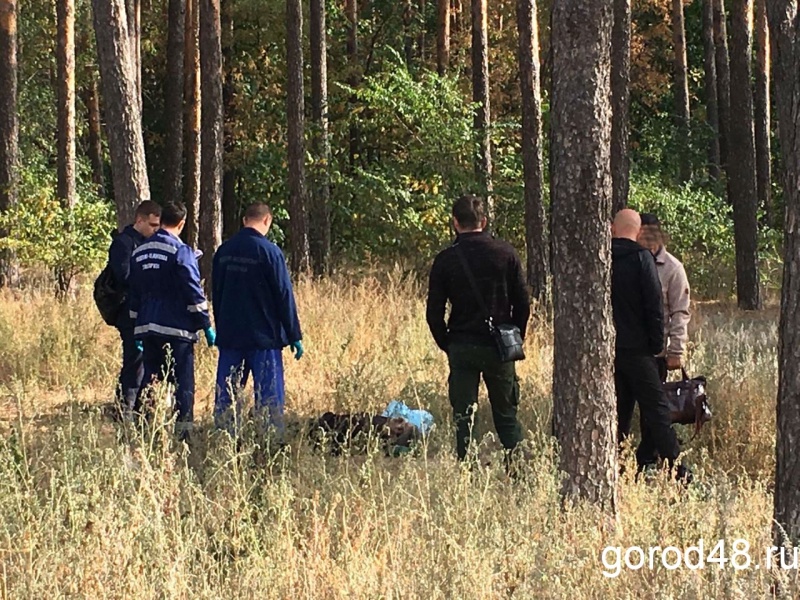 Задержан подозреваемый в убийстве на улице Зои Космодемьянской Задержан подозреваемый в убийстве на улице Зои Космодемьянской