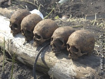 В Липецкой области найдены останки 6 бойцов Красной армии В Липецкой области найдены останки 6 бойцов Красной армии