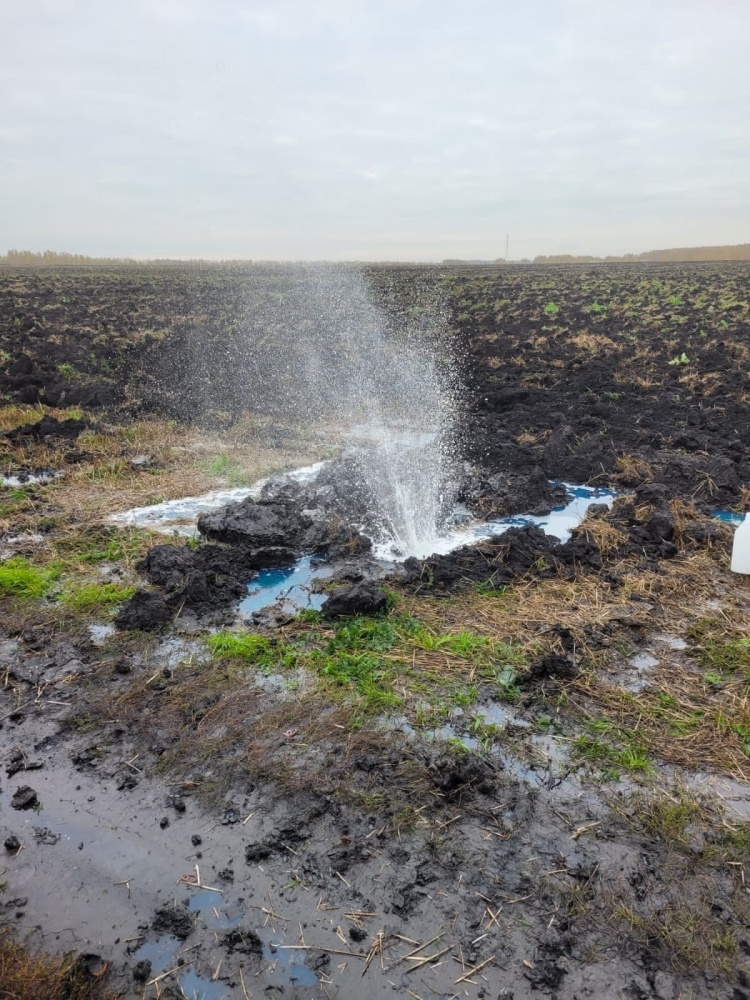Разливом нефтепродуктов природе причинен ущерб в 648 тысяч рублей