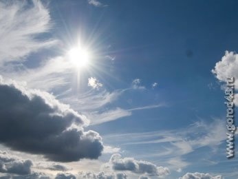 В Липецкую область на месяц раньше срока прилетели первые весенние птицы В Липецкую область на месяц раньше срока прилетели первые весенние птицы