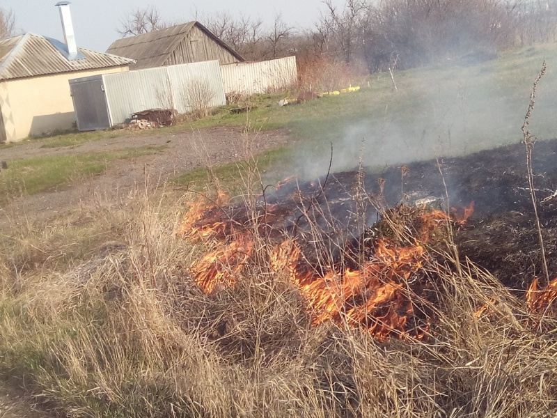 Пенсионер поджег траву в Задонском районе Пенсионер поджег траву в Задонском районе