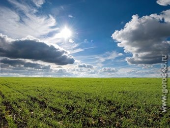 В выходные – рекордное тепло и гроза В выходные – рекордное тепло и гроза