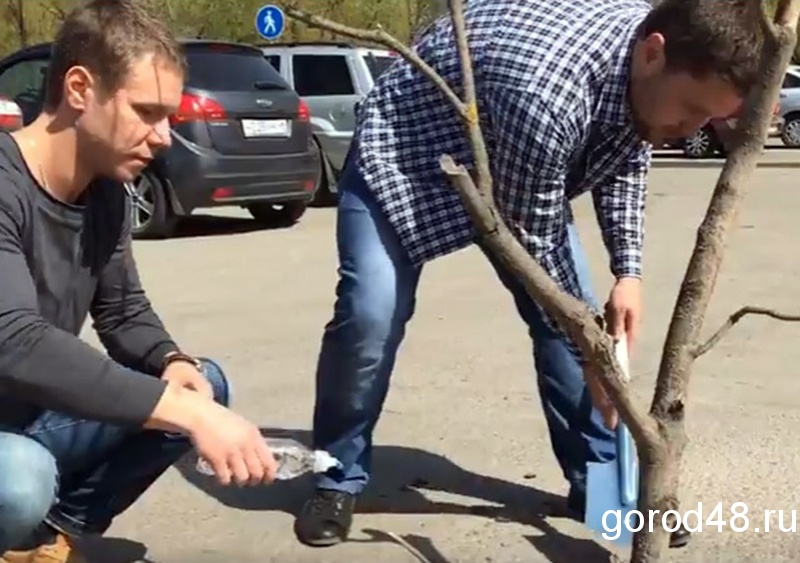 Липчане сажают деревья в ямы и дыры на дорогах Липчане сажают деревья в ямы и дыры на дорогах