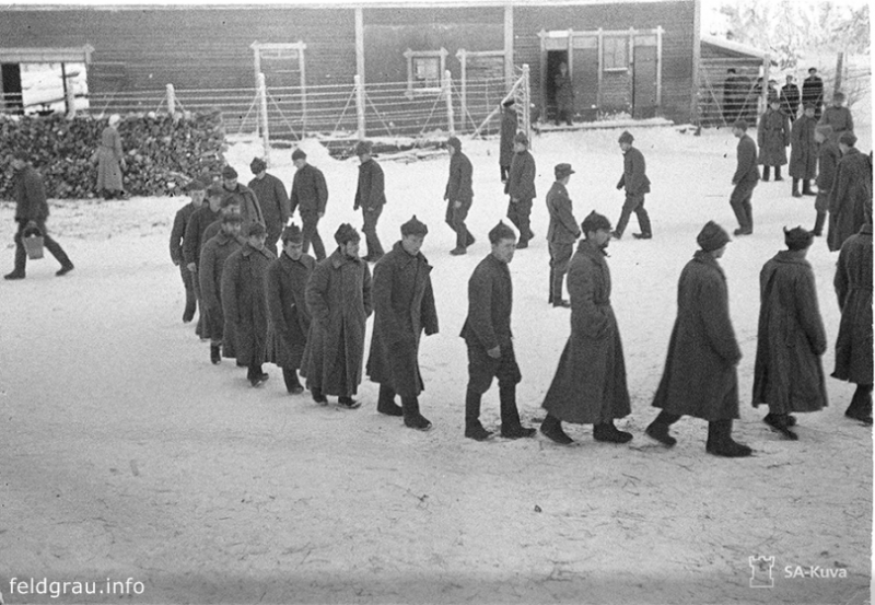 В Липецкой области ищут родственников узника финского лагеря Sotavankileiri № 10 В Липецкой области ищут родственников узника финского лагеря Sotavankileiri № 10