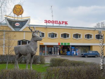 Рождество в берлоге Рождество в берлоге