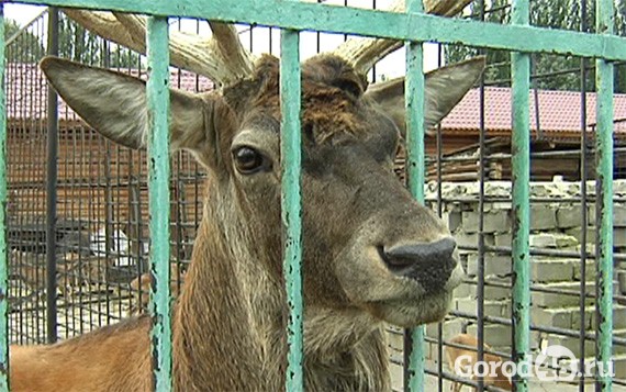 В зоопарке начался конкурс красоты В зоопарке начался конкурс красоты