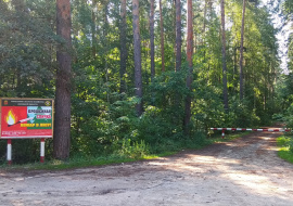 С сегодняшнего дня в Липецкой области вводится ограничение на посещение лесов