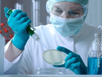 Умершая спорсменка могла заразиться ГЛПС в Удмуртии или Подмосковье Умершая спорсменка могла заразиться ГЛПС в Удмуртии или Подмосковье