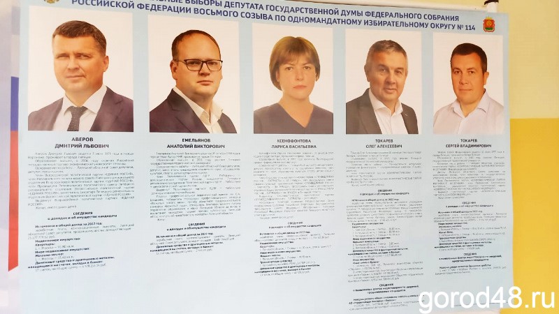 Выборы депутата Госдумы: какими их увидели кандидаты