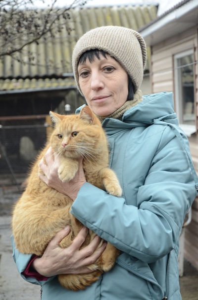 Добринские спасатели сняли с крыши кота Добринские спасатели сняли с крыши кота