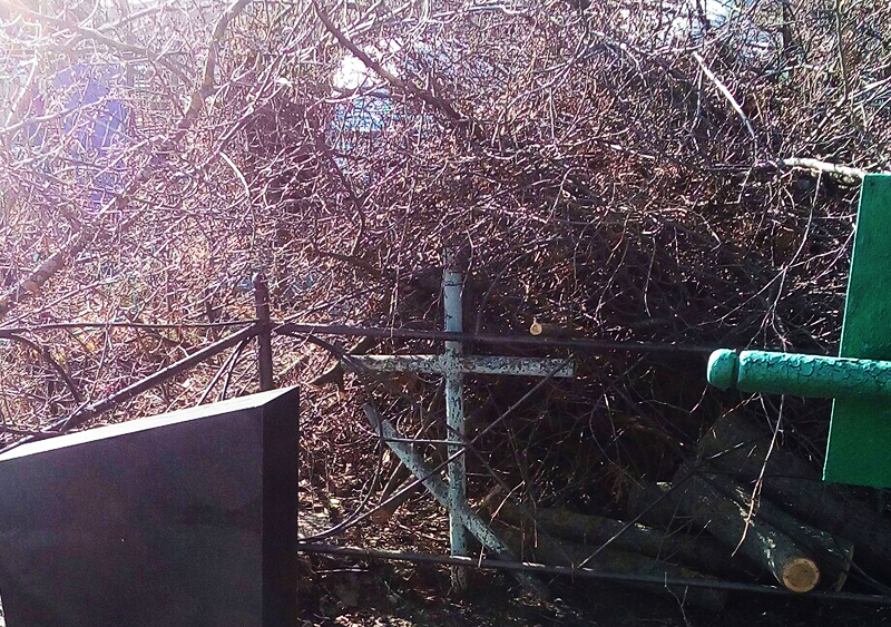 Коммунальщики завалили могилы на кладбище опиленными ветвями Коммунальщики завалили могилы на кладбище опиленными ветвями
