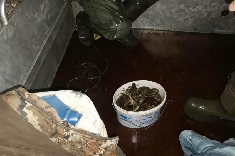 В акватории Матырского водохранилища поймали браконьеров В акватории Матырского водохранилища поймали браконьеров
