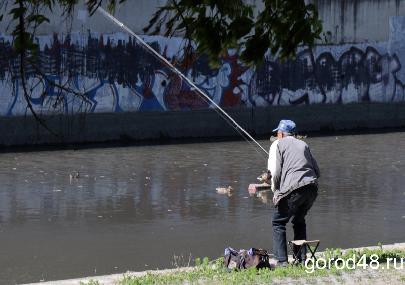 Прокуратура запретила спортивное рыболовство в Липецке