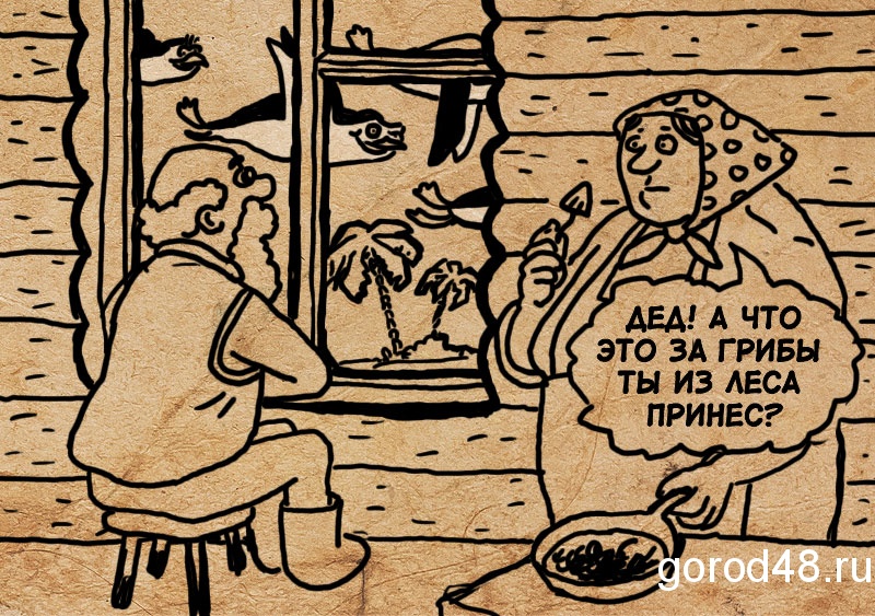 Мир без грибов был бы ненормальным Мир без грибов был бы ненормальным
