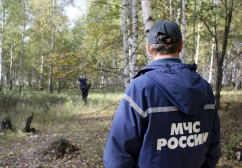 Более 200 человек ищут мальчика, пропавшего в лесу на Кубани Более 200 человек ищут мальчика, пропавшего в лесу на Кубани