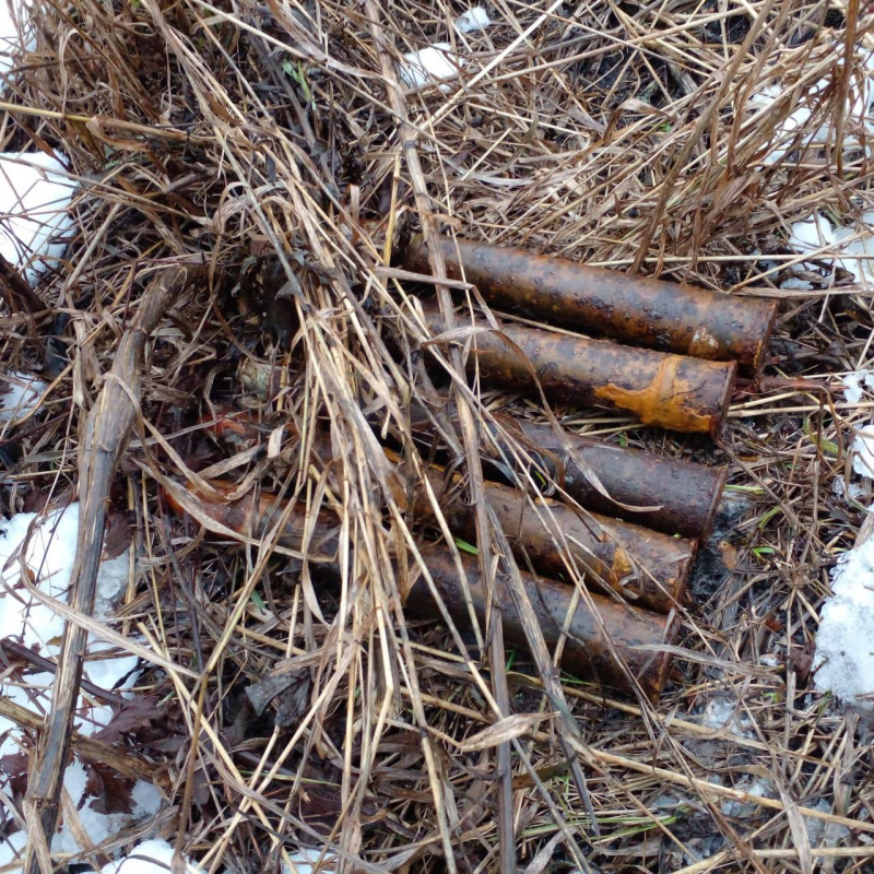Москвич нашёл в Воловском районе пять снарядов