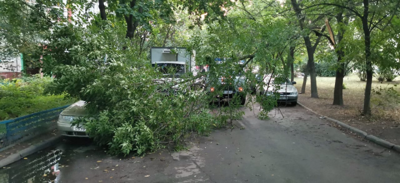 Спасатели вызволили машину из-под дерева и двух детей и женщину – из закрытой квартиры Спасатели вызволили машину из-под дерева и двух детей и женщину – из закрытой квартиры