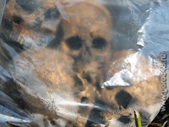 В Липецкой области эксгумированы останки 729 немецких солдат В Липецкой области эксгумированы останки 729 немецких солдат