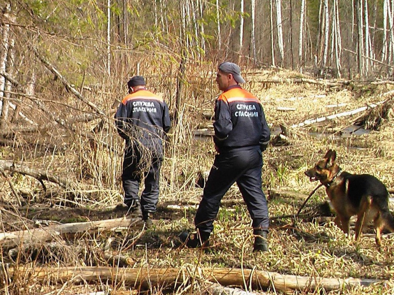 В Кировской области вторые сутки ищут четырехлетнего ребенка В Кировской области вторые сутки ищут четырехлетнего ребенка